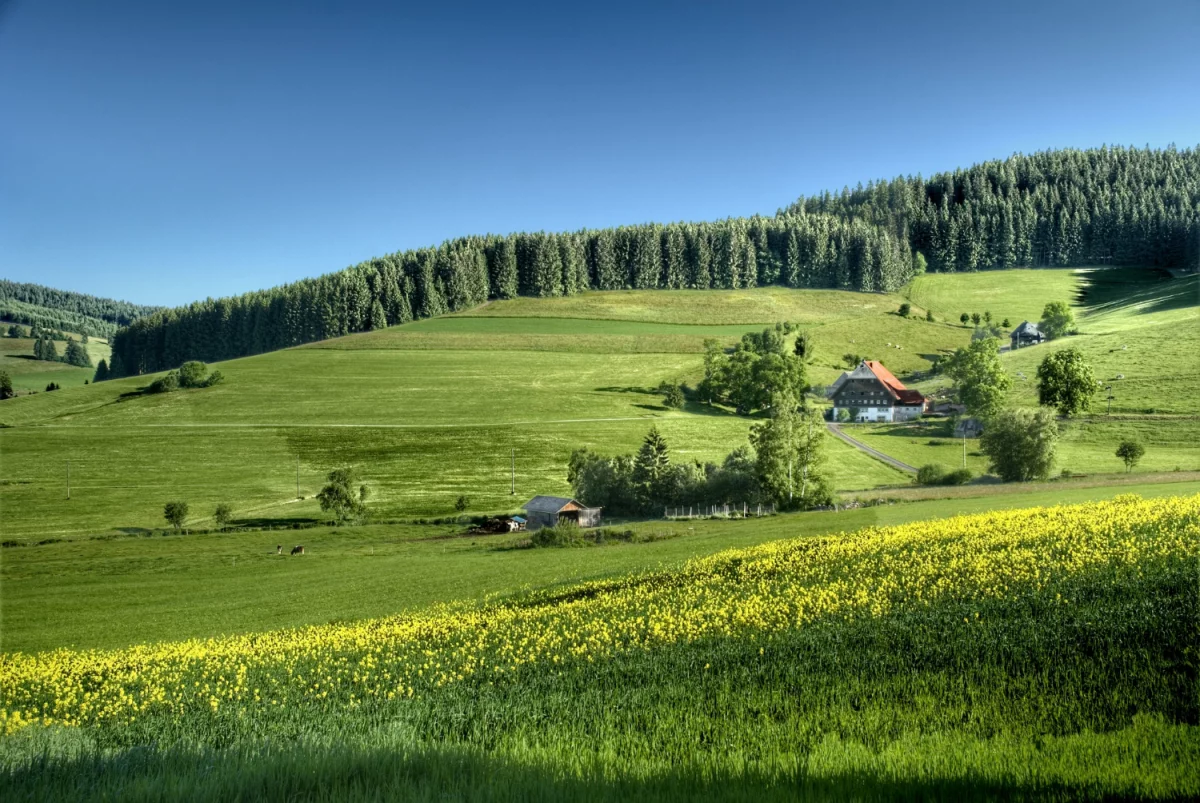 Praktyczne metody traceability: śledzenie mięsa, soi i oleju palmowego w restauracji