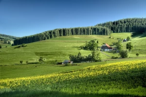 Praktyczne metody traceability: śledzenie mięsa, soi i oleju palmowego w restauracji